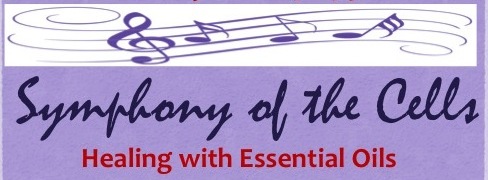 Attend our monthly class on SOC