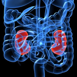 Kidney disease ... a silent killer